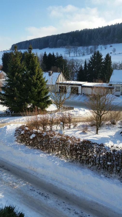 Fewos 4-Jahreszeiten Willingen  Eksteriør bilde