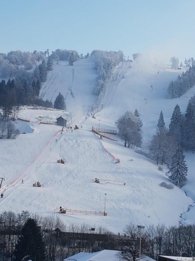 Fewos 4-Jahreszeiten Willingen  Eksteriør bilde
