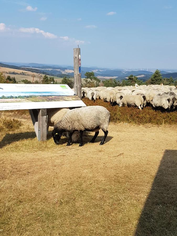 Fewos 4-Jahreszeiten Willingen  Eksteriør bilde